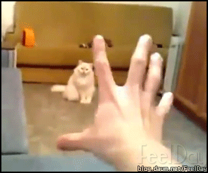 1억이면 구매할수 있는 초능력이 있을때 한가지만 선택한다면? | 인스티즈