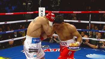 맷집 도사 복서들도 무릎꿇게하는 바디샷 | 인스티즈