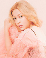 아이돌 성씨 분포표 (본인이 가장 좋아하는 성씨의 아이돌은 누구?) | 인스티즈