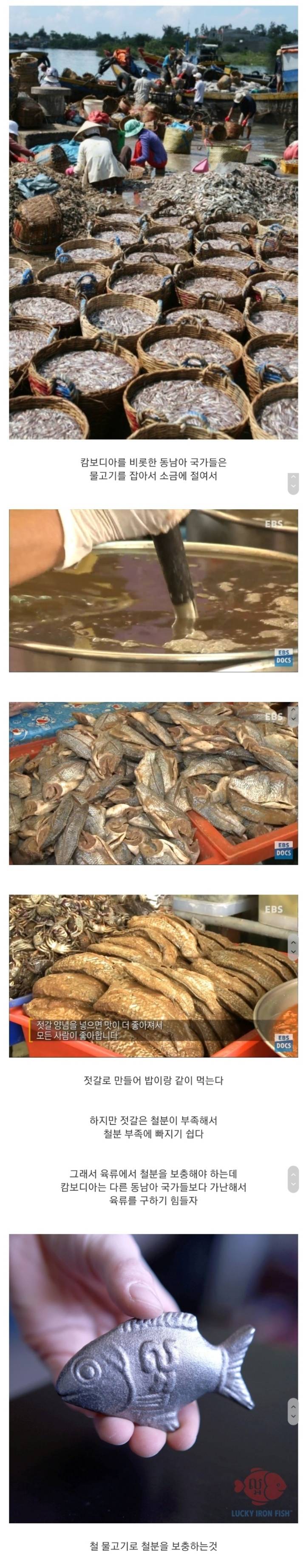 캄보디아를 살린 행운의 철 물고기.jpg | 인스티즈