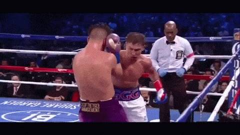 맷집 도사 복서들도 무릎꿇게하는 바디샷 | 인스티즈