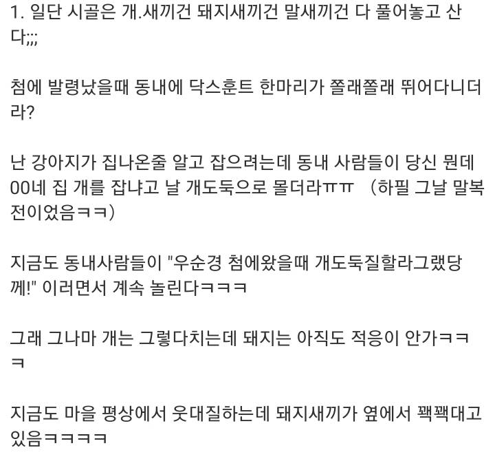 시골에서경찰하다보면 겪는 진상 썰.txt | 인스티즈