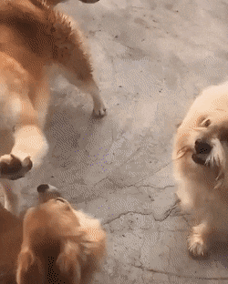 미안하다고!!!!!!!!! 미안!!!!!!!!!!!! | 인스티즈