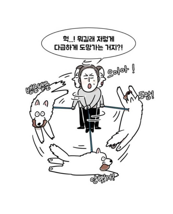 웹툰 극한견주 주인공 사모예드 댕댕이 솜이 사진들.jpg | 인스티즈