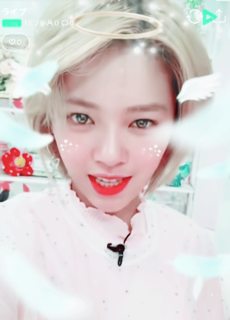 트와이스 정연 ㄷㄷ | 인스티즈