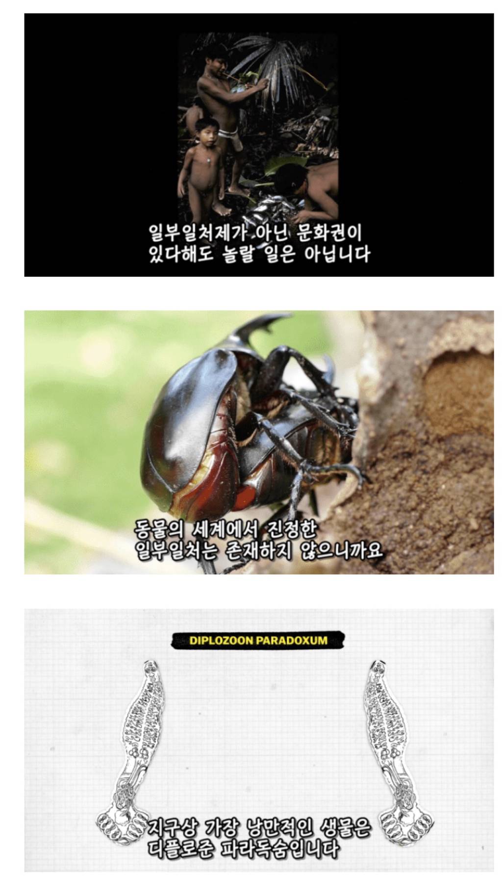 인간이 난교하도록 진화했다는 증거 ㄷㄷㄷㄷㄷㄷㄷ | 인스티즈