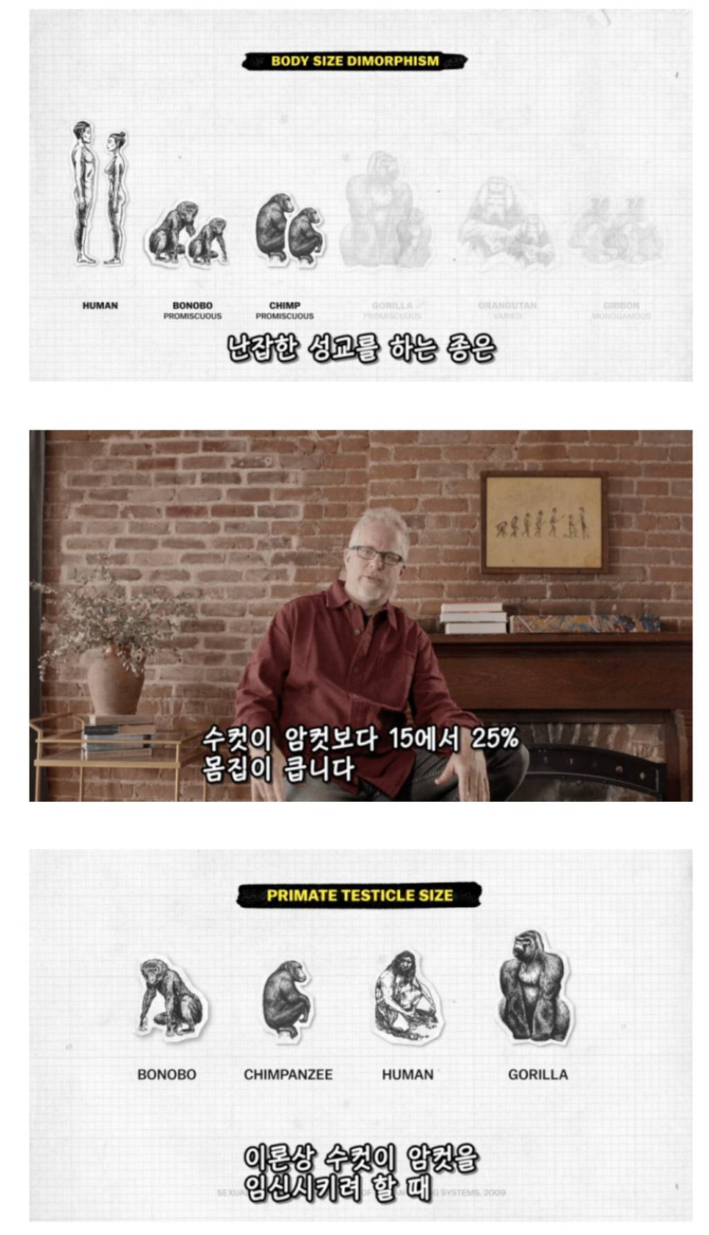 인간이 난교하도록 진화했다는 증거 ㄷㄷㄷㄷㄷㄷㄷ | 인스티즈