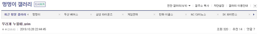 댕댕이가 눕는법 | 인스티즈