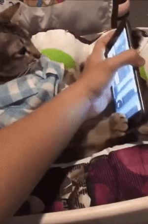 심각한 스마트폰 중독!! | 인스티즈