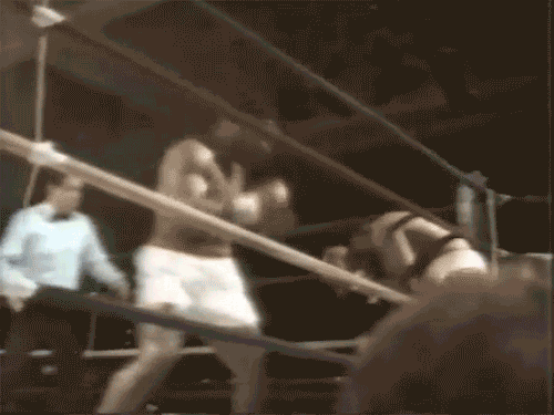 복싱 헤비급 역사상 최고의 파이터들 4명이 전성기 실력으로 붙는다면 최후의 승자는? | 인스티즈