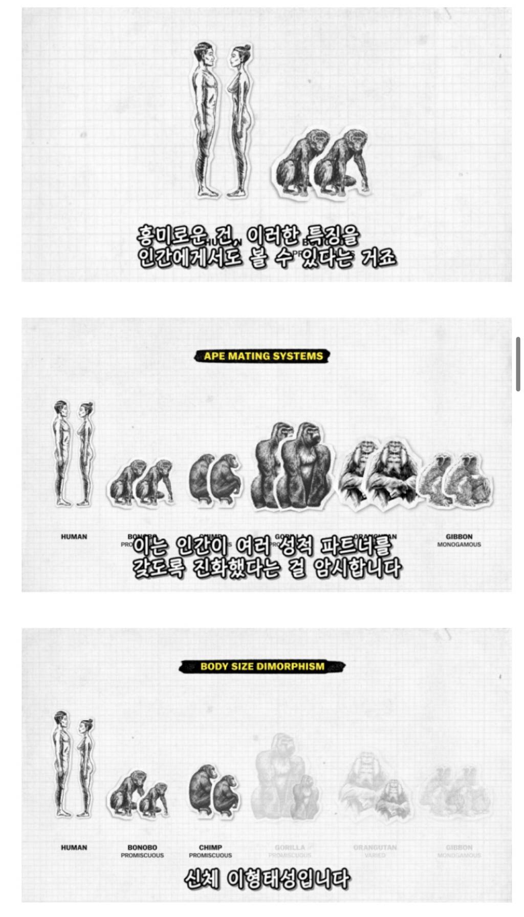 인간이 난교하도록 진화했다는 증거 ㄷㄷㄷㄷㄷㄷㄷ | 인스티즈