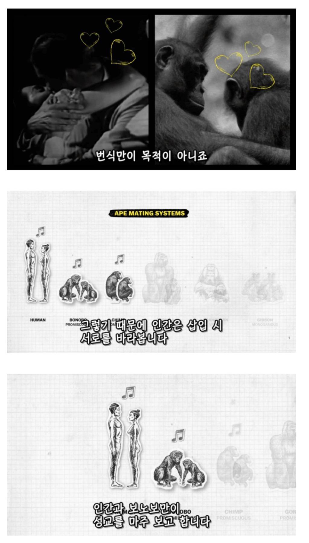 인간이 난교하도록 진화했다는 증거 ㄷㄷㄷㄷㄷㄷㄷ | 인스티즈