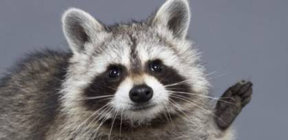 중국집 배달 리뷰 ㅋㅋ | 인스티즈