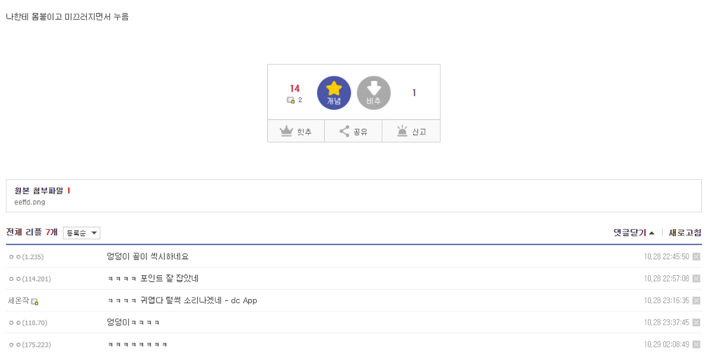 댕댕이가 눕는법 | 인스티즈