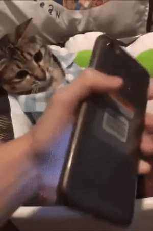 심각한 스마트폰 중독!! | 인스티즈