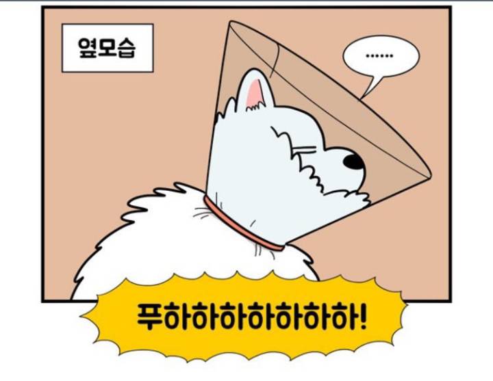 웹툰 극한견주 주인공 사모예드 댕댕이 솜이 사진들.jpg | 인스티즈