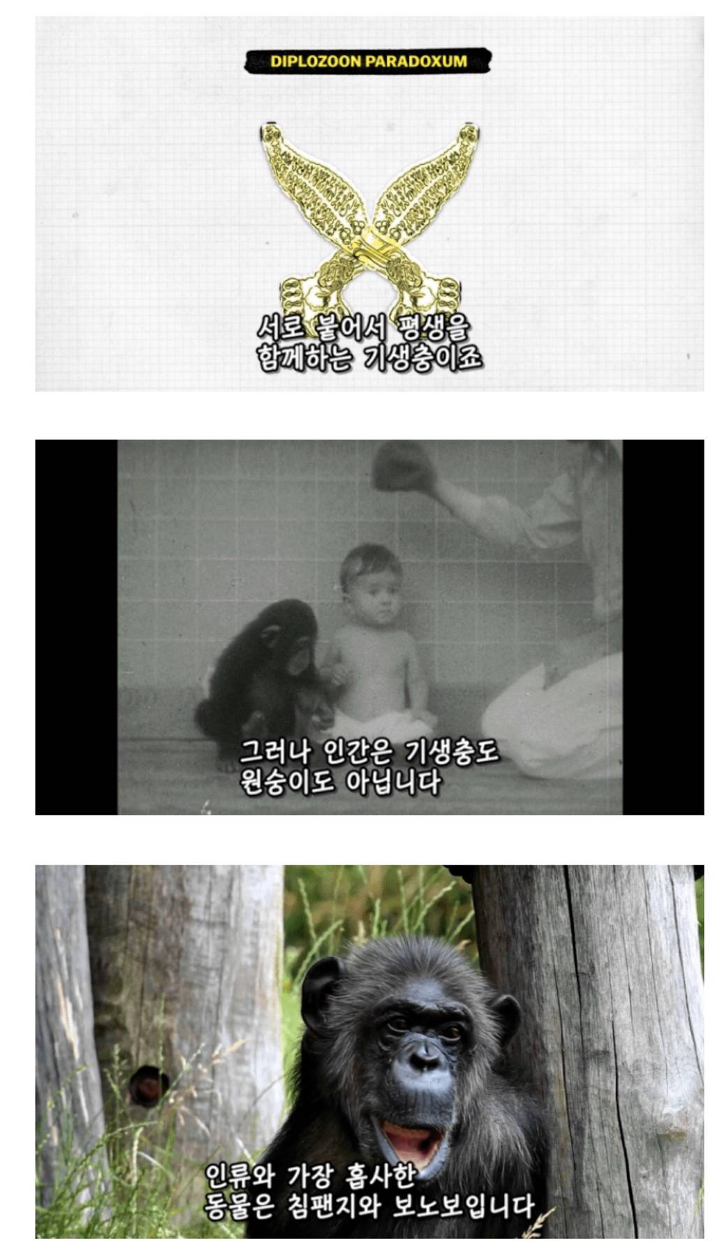 인간이 난교하도록 진화했다는 증거 ㄷㄷㄷㄷㄷㄷㄷ | 인스티즈