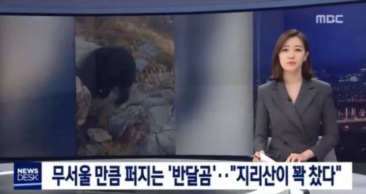 지리산 정ㅋ복ㅋ | 인스티즈