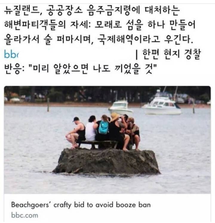 뉴질랜드 공공장소 음주금지령에 대처하는 사람들 | 인스티즈