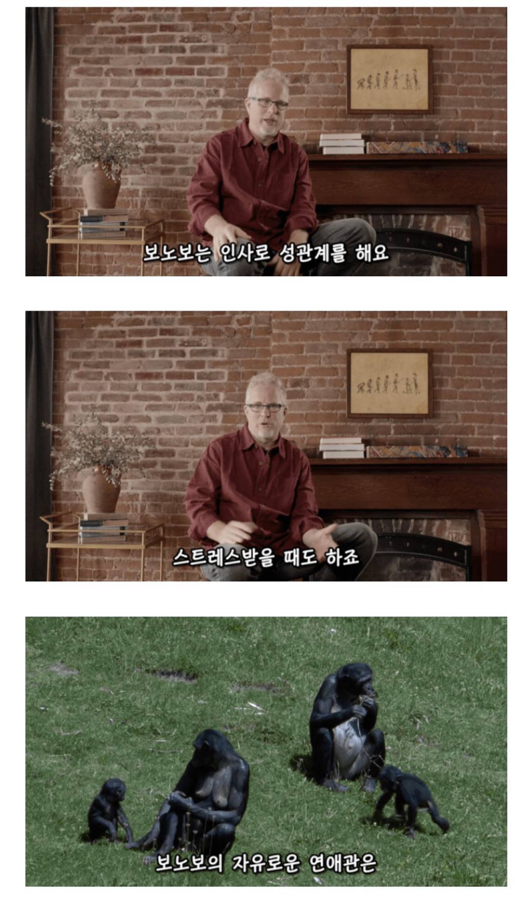 인간이 난교하도록 진화했다는 증거 ㄷㄷㄷㄷㄷㄷㄷ | 인스티즈