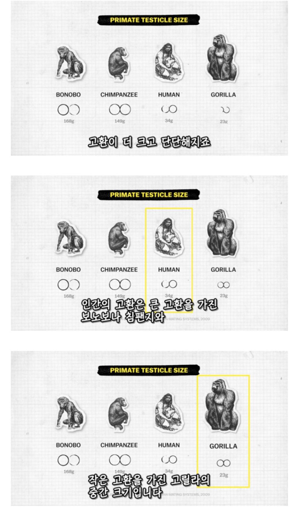 인간이 난교하도록 진화했다는 증거 ㄷㄷㄷㄷㄷㄷㄷ | 인스티즈