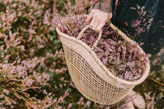  우리는 준비 없이 온다 | 인스티즈