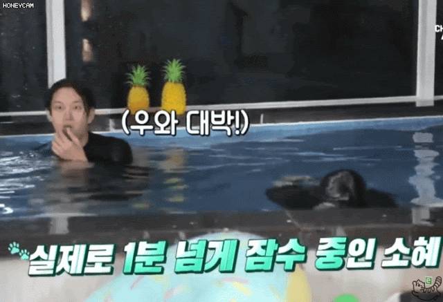 맨날 당하는 소혜 | 인스티즈