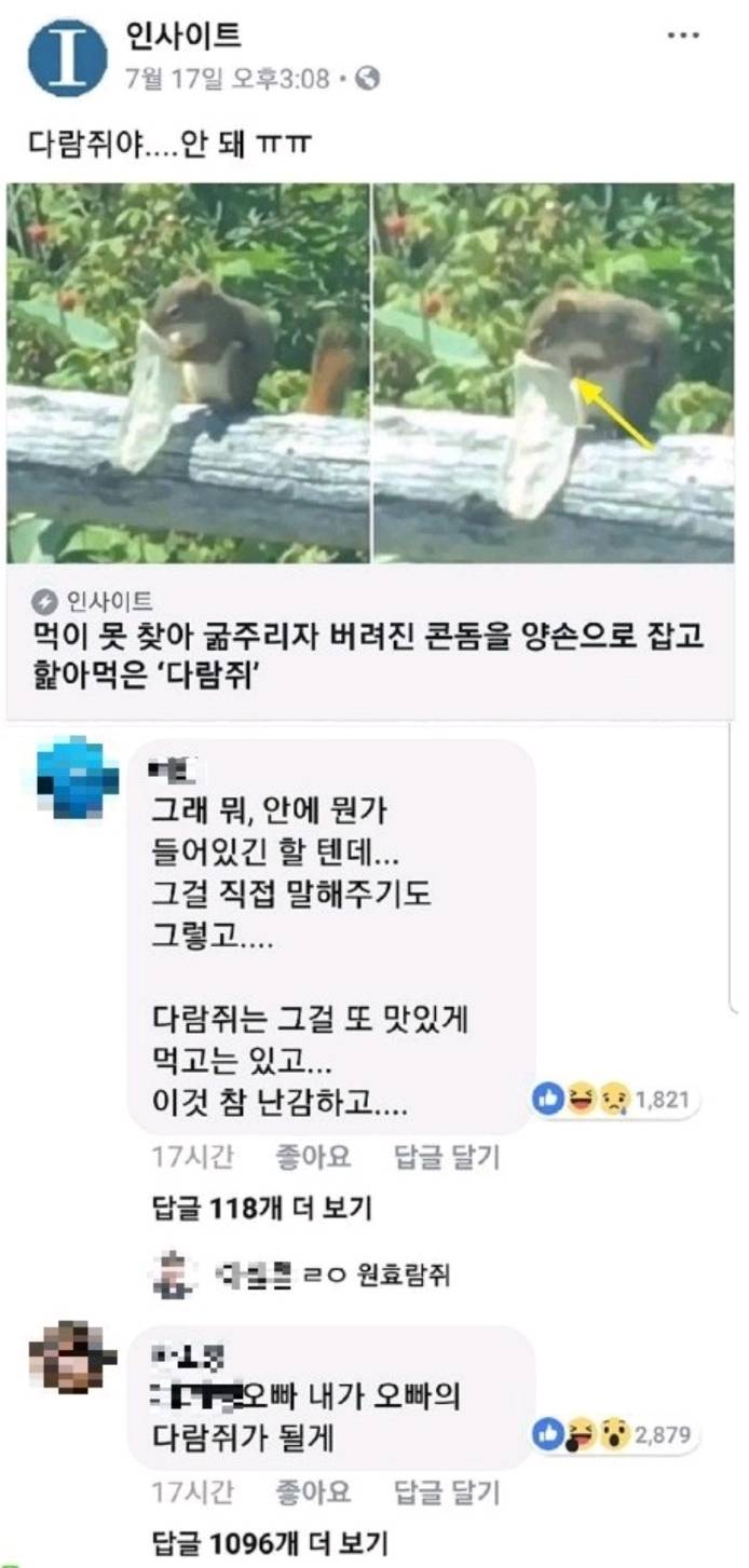 버려진 콘돔 속 정액을 먹는 다람쥐 | 인스티즈