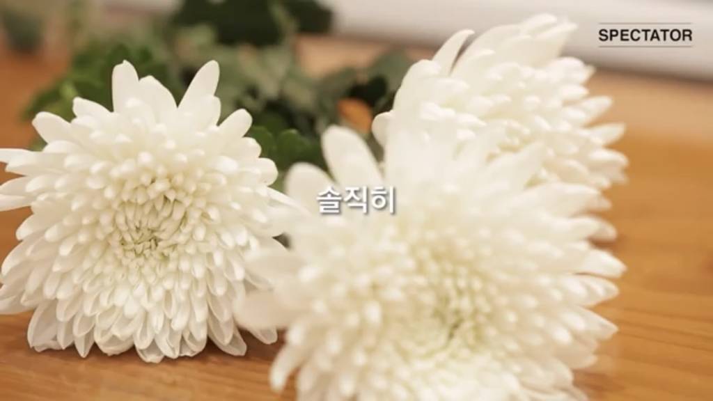 장례식에 검은 옷 대신 예쁜 옷을 입어 달라고 하셨더군요 | 인스티즈