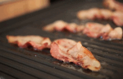 다이어트 자극 짤.gif | 인스티즈