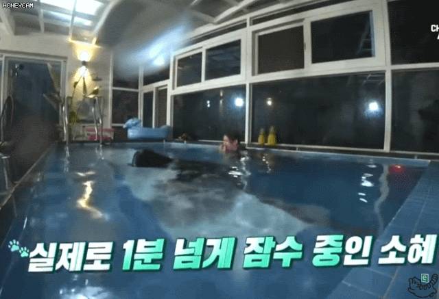 맨날 당하는 소혜 | 인스티즈