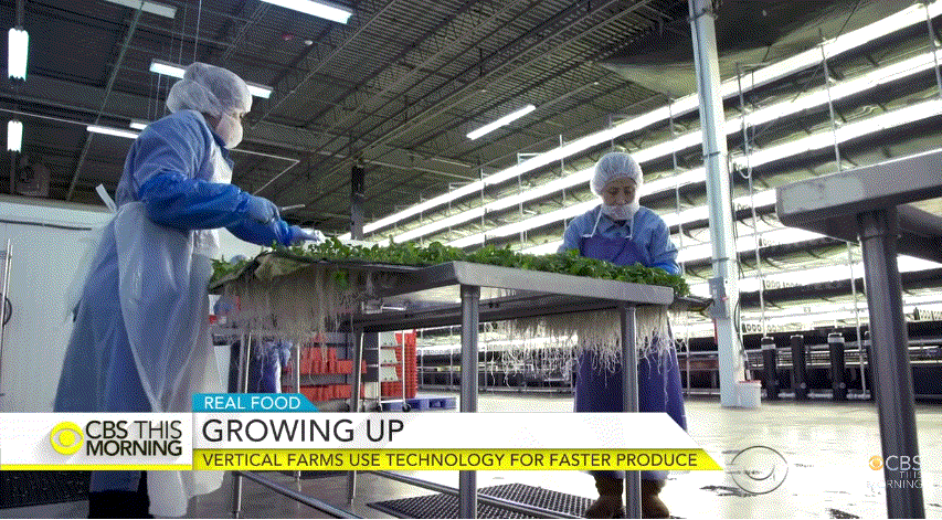 미국이 미래에도 강대국인 이유.j&amp;g | 인스티즈