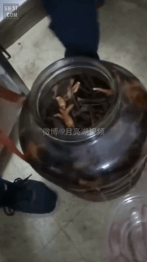 전통주 마시려다.gif | 인스티즈