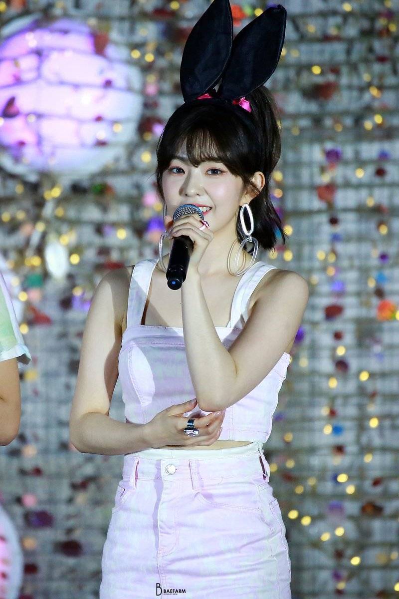 아이린 비쥬얼은 개쩔었던 짐살라빔 활동jpgif (사진多,데이터폭탄주의) | 인스티즈