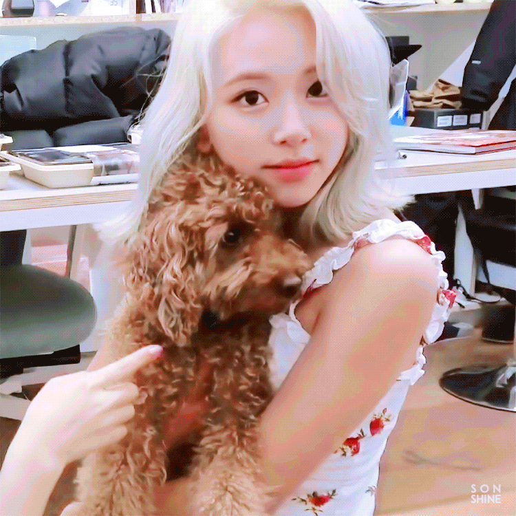 ㄹㅇ 댕댕이잘알.jpg | 인스티즈