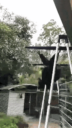 박쥐라면 이정도는 해줘야 | 인스티즈