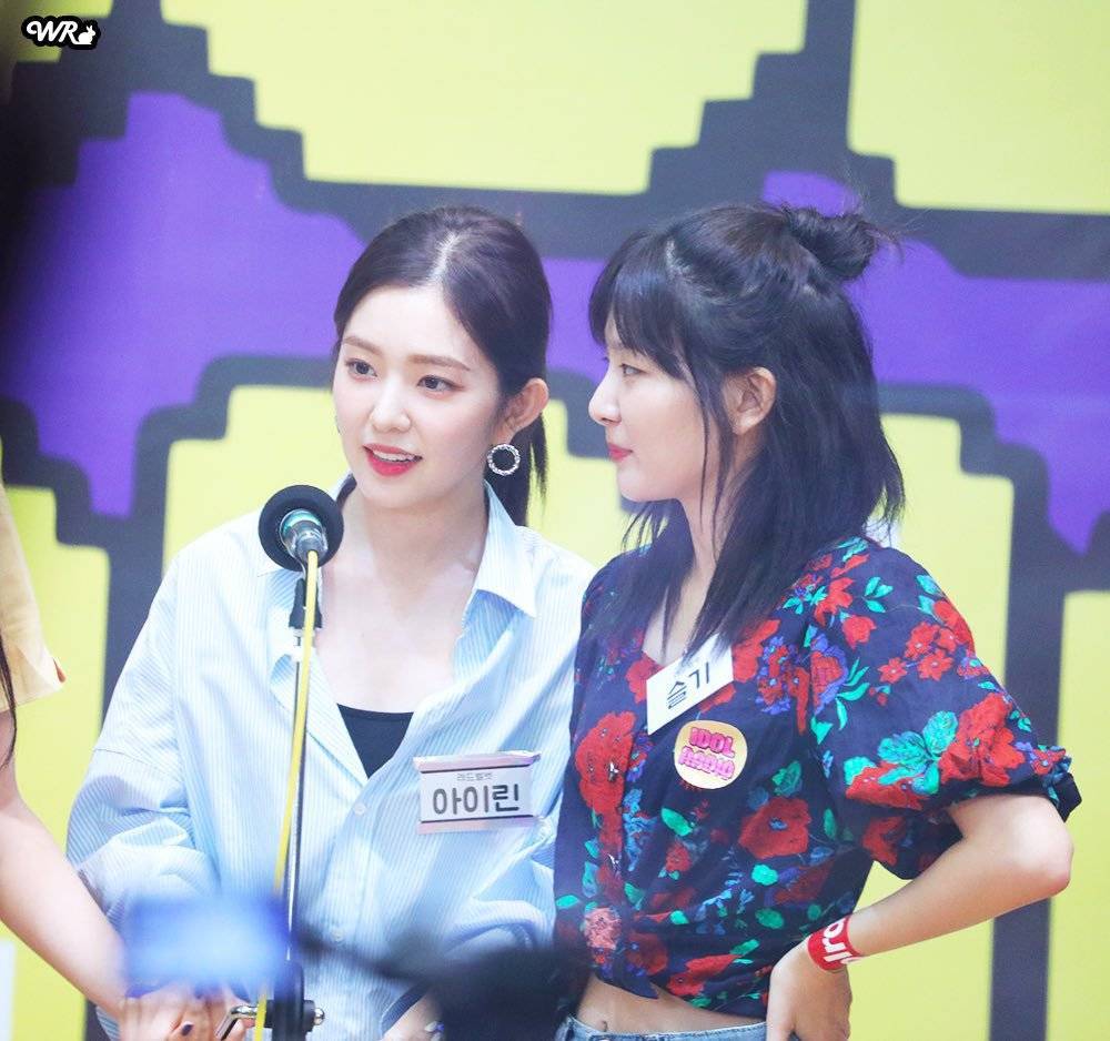 아이린 비쥬얼은 개쩔었던 짐살라빔 활동jpgif (사진多,데이터폭탄주의) | 인스티즈