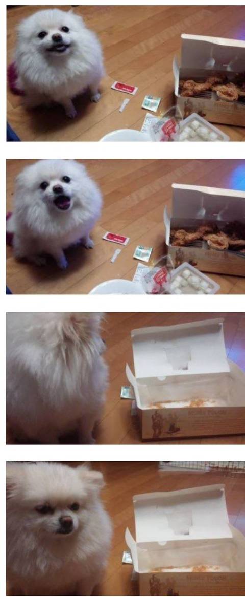 저도 치킨주세요.jpg | 인스티즈