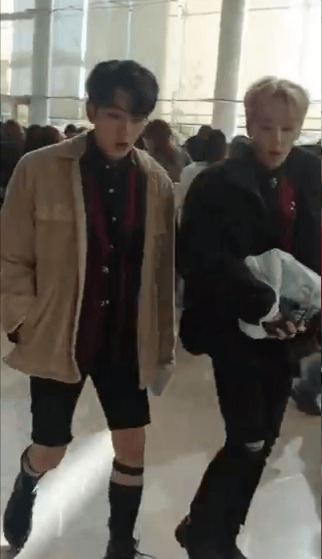 new! 팬이 떨어트린 휴대폰 주워주는 아이돌 | 인스티즈