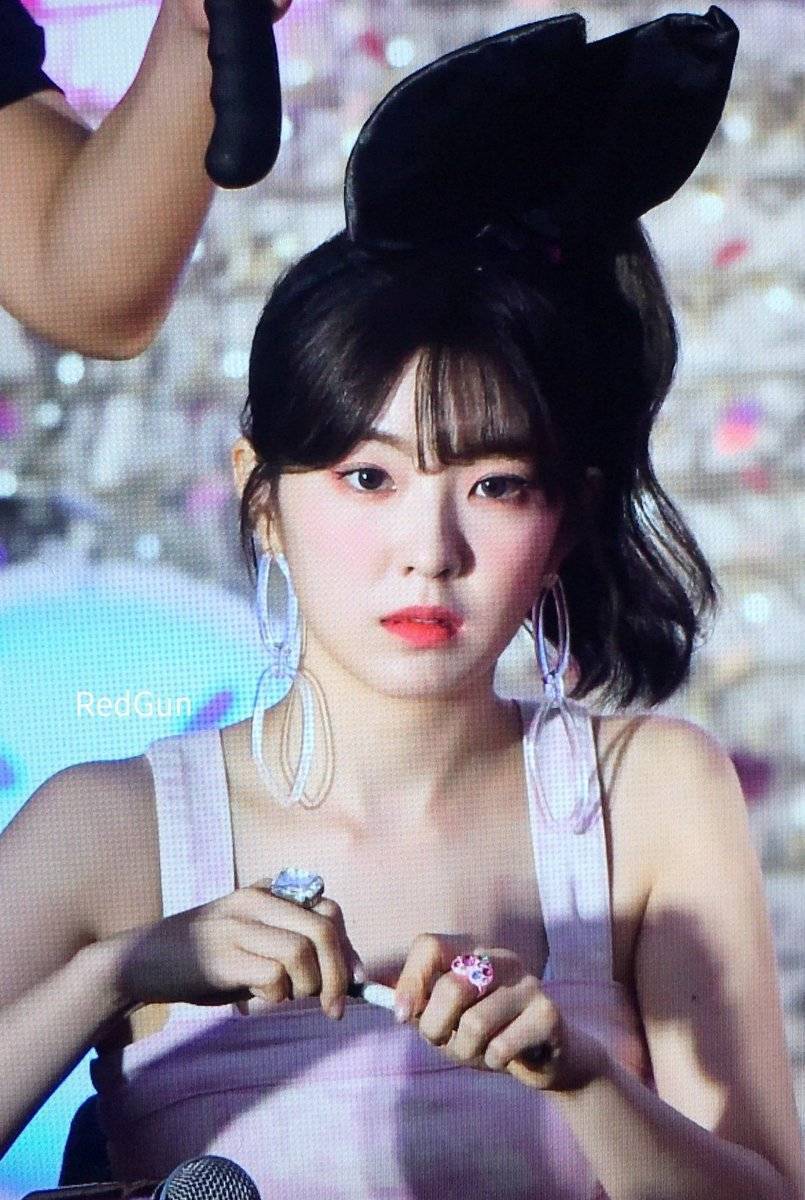 아이린 비쥬얼은 개쩔었던 짐살라빔 활동jpgif (사진多,데이터폭탄주의) | 인스티즈