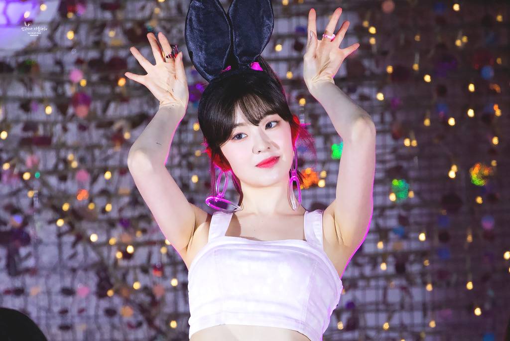 아이린 비쥬얼은 개쩔었던 짐살라빔 활동jpgif (사진多,데이터폭탄주의) | 인스티즈