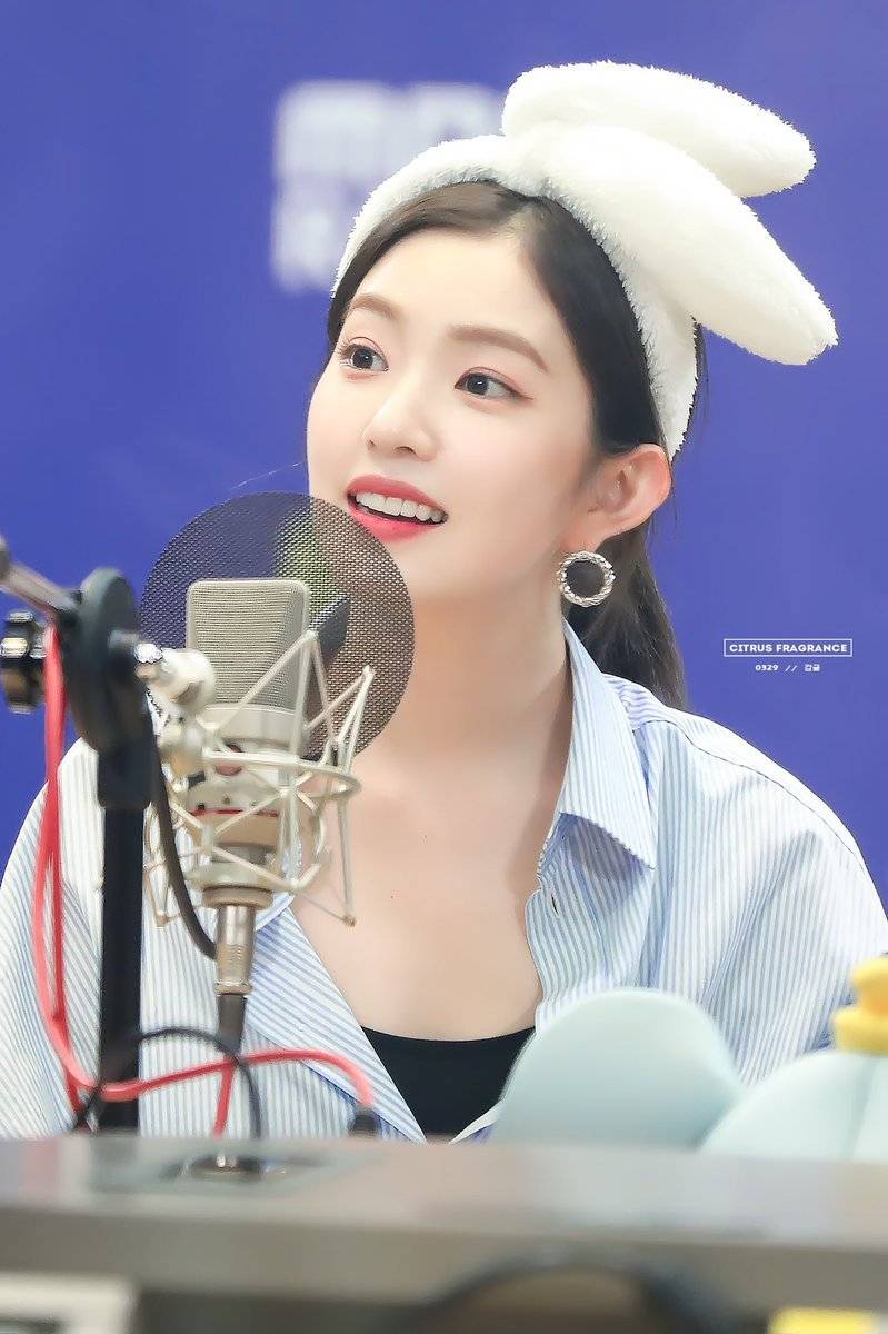 아이린 비쥬얼은 개쩔었던 짐살라빔 활동jpgif (사진多,데이터폭탄주의) | 인스티즈