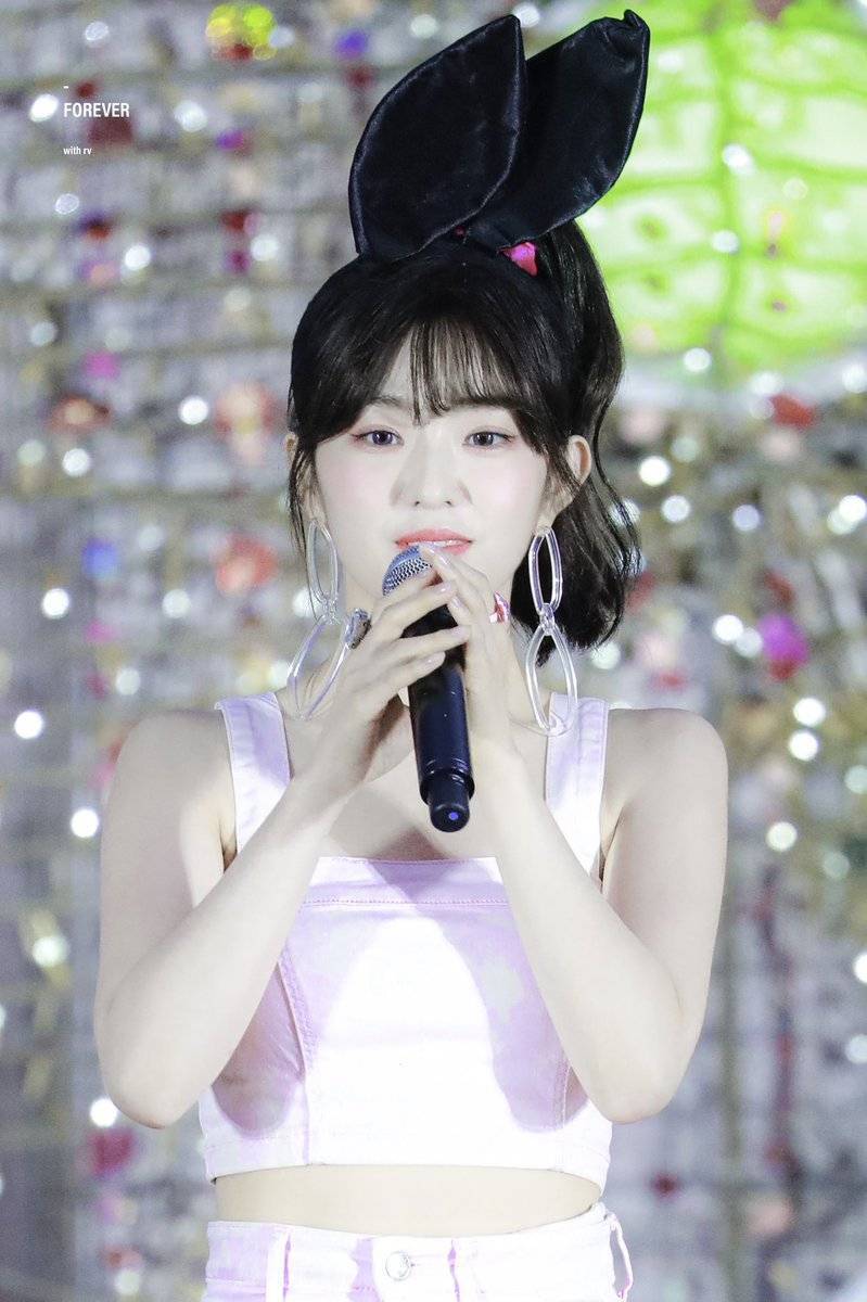 아이린 비쥬얼은 개쩔었던 짐살라빔 활동jpgif (사진多,데이터폭탄주의) | 인스티즈