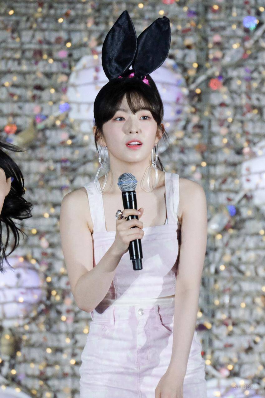 아이린 비쥬얼은 개쩔었던 짐살라빔 활동jpgif (사진多,데이터폭탄주의) | 인스티즈