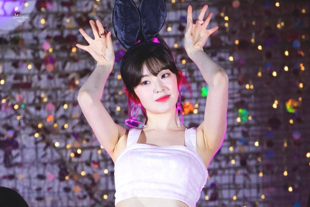 아이린 비쥬얼은 개쩔었던 짐살라빔 활동jpgif (사진多,데이터폭탄주의) | 인스티즈