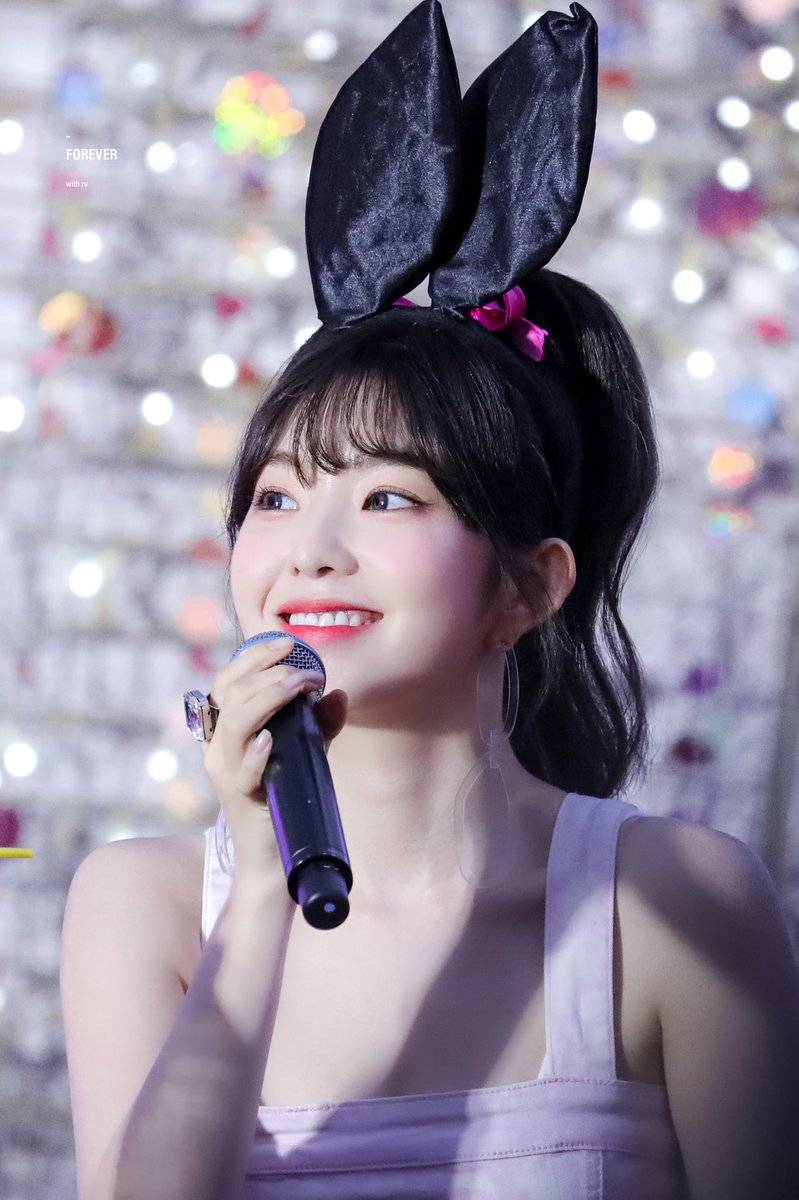 아이린 비쥬얼은 개쩔었던 짐살라빔 활동jpgif (사진多,데이터폭탄주의) | 인스티즈