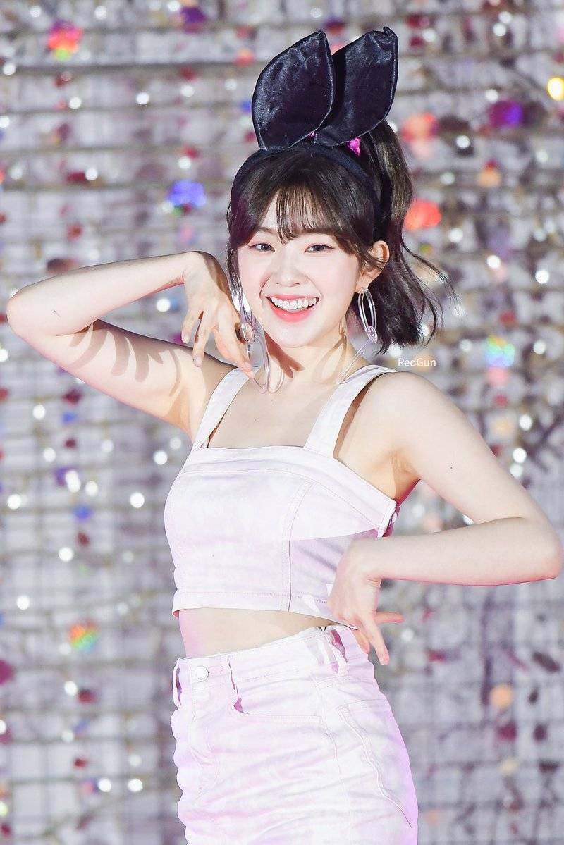 아이린 비쥬얼은 개쩔었던 짐살라빔 활동jpgif (사진多,데이터폭탄주의) | 인스티즈