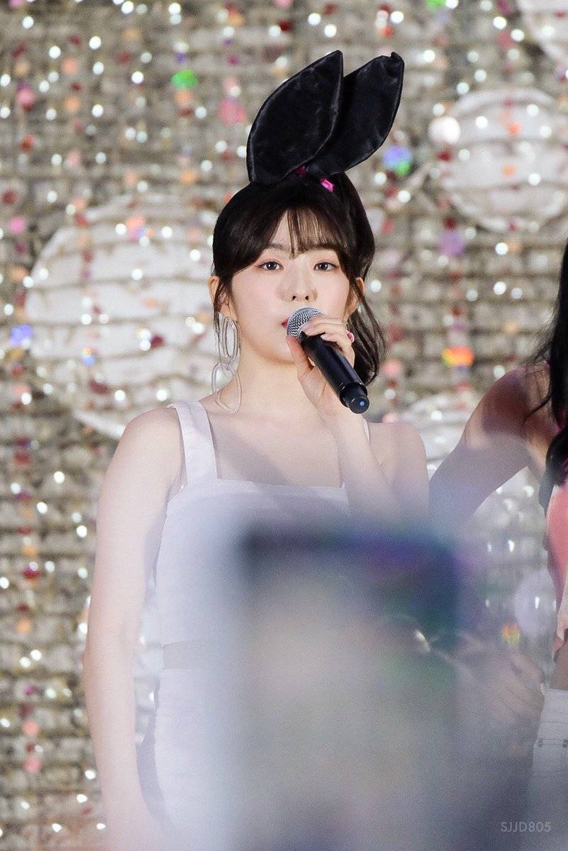 아이린 비쥬얼은 개쩔었던 짐살라빔 활동jpgif (사진多,데이터폭탄주의) | 인스티즈