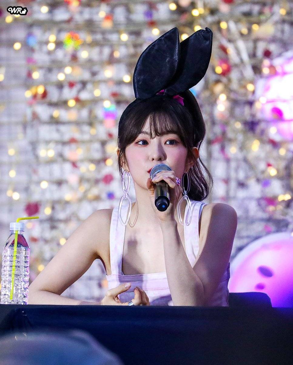 아이린 비쥬얼은 개쩔었던 짐살라빔 활동jpgif (사진多,데이터폭탄주의) | 인스티즈