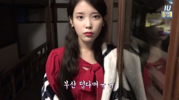 매니저한테 뒷통수 맞은 아이유 | 인스티즈